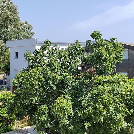 Vila Goga Ulcinj Exterior foto